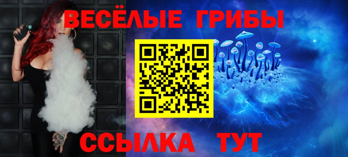 Псилоцибиновые грибы Cubensis  Вход с VPN  Касимов 
